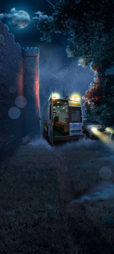 the bus is driving down the road in front of some trees and bushes at night