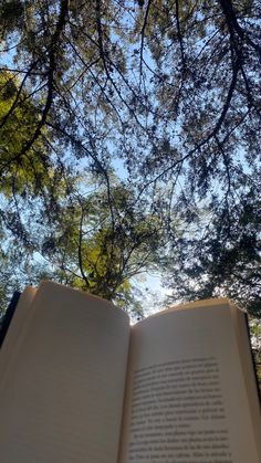 an open book sitting on top of a table next to a forest filled with trees