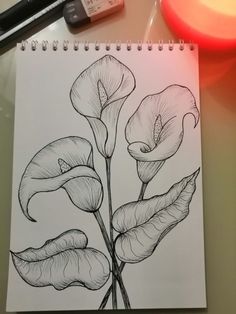 a drawing of three flowers on top of a white paper next to a red light