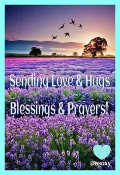 lavender field with birds flying over it and the words sending love & hugs, blessings and