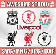 the liverpool logo is shown in different colors and sizes, including red, white, blue,