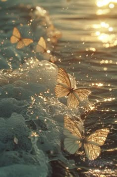 three butterflies flying over the water in front of some sun shining down on it's surface