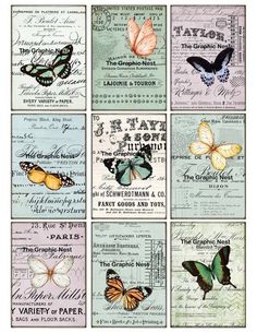 six different butterflies are featured in this collage with the names of each individual item