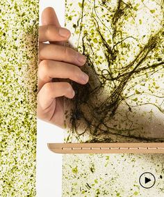 someone is holding something in their hand while they are working on an art project with plants and dirt