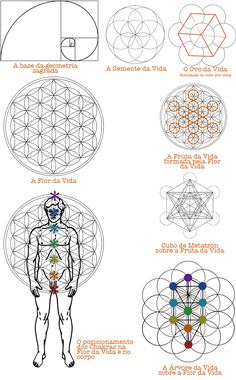 Geometria Sagrada Chakra Sacred Geometry, The Tree Of Life Drawing, Tree Of Life Geometry, How To Draw Sacred Geometry, Tattoo Tree Of Life, Sacred Geometry Elements, Tree Of Life Mandala, Scared Geometry, Mandala Symbols