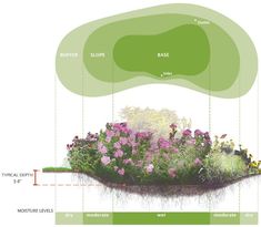 a diagram showing the different types of flowers and plants in an area that is well maintained