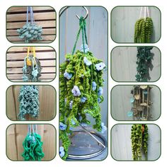 several pictures of green items hanging from hooks