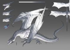 an image of a white dragon with wings