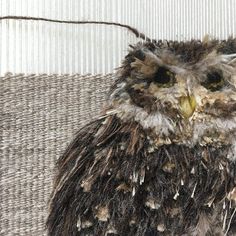 an owl sitting on top of a couch next to a white and brown wallpaper