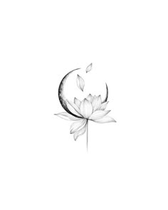 a black and white drawing of a lotus flower with the moon in the background,