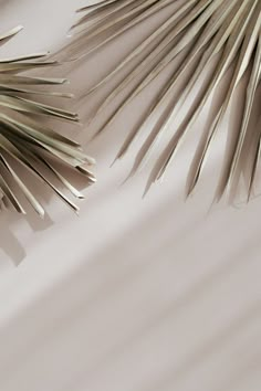 two silver palm leaves on a white surface