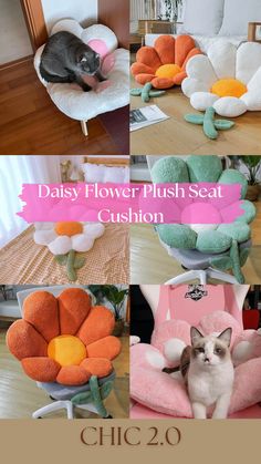 the cat is sitting in the flower plush seat cushion