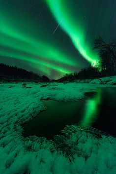 an aurora bore is seen in the night sky over a frozen lake and forest with green lights