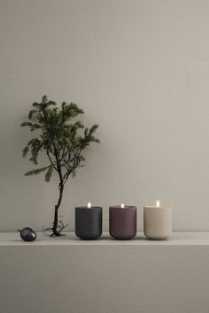 three candles sitting on top of a shelf next to a small tree and a computer mouse