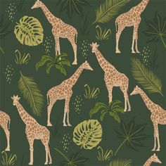 giraffes and palm leaves on a green background