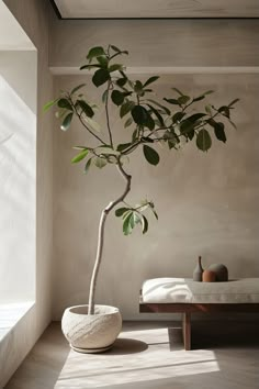 a potted plant sitting on top of a wooden table next to a white bed