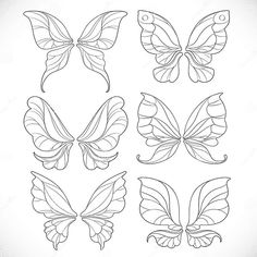 four different types of butterfly wings in black and white stock photo - image 34978