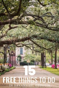 a tree lined street with the words 15 free things to do in savannah, georgia