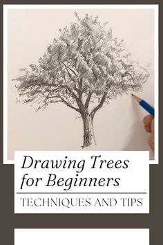 drawing trees for beginners techniques and tips