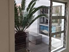 a potted plant sitting on top of a window sill next to a pool