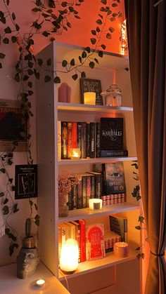 aesthetic, aesthetic books, aesthetic bookshelf, bookshelf, decor, decorated bookshelf, pretty books, candles, aesthetic candles, vines, posters, the weeknd, trilogy, starboy, decorations, bookshelf ideas, books ideas, coquette, vintage, y2k, reading, read books, caraval, trilogy, shelf Book Shelf Room Aesthetic, Rooms With Bookshelves Aesthetic, Aesthetic Room With Books, Book Shelf Aesthetic Decor, Bookcase Ideas Aesthetic, Book Shelves Aesthetic Bedroom, Room Ideas Aesthetic Book Shelf, Aesthetic Book Bedroom, Book Collection Aesthetic Bedroom