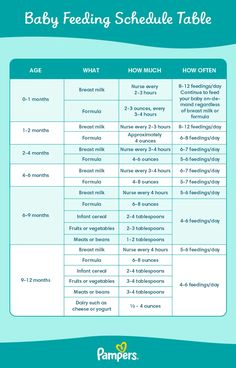 the baby feeding schedule table is shown with instructions for how to feed and how to use it