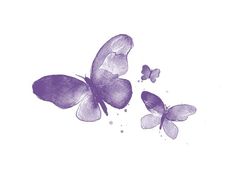 two purple butterflies flying next to each other on a white background with watercolor effect