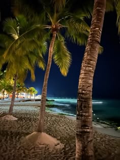 palm trees on the beach at night time