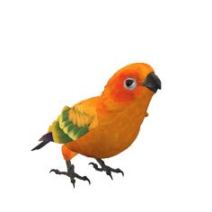 an orange and yellow bird standing on its hind legs