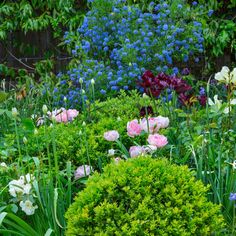 a garden filled with lots of different colored flowers