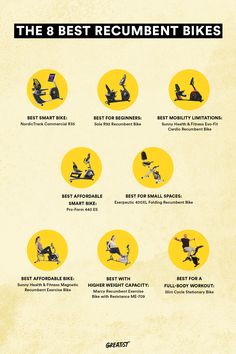 the 8 best recumbent bikes in the world infographical poster - click to enlarge