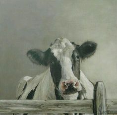 a painting of a black and white cow looking over a wooden fence with it's head sticking out