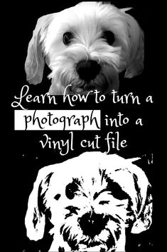 a black and white photo of a dog with the words learn how to turn a photograph into a vinyl cut file