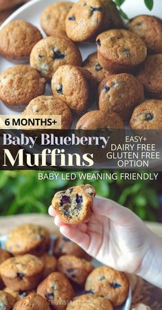 baby blueberry muffins are being held up in front of a plate with other muffins