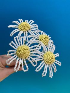 three white and yellow flowers are held in the palm of a hand against a blue background