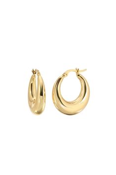 gold hoop earrings cute classy aesthetic png Madison Style, Lili Claspe, Fashion Journal, Ny Style, Lululemon Outfits, Basic Jewelry, Mini Hoop Earrings, Aesthetic Vibes