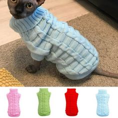 a cat wearing a sweater on the floor with different colors and sizes in front of it