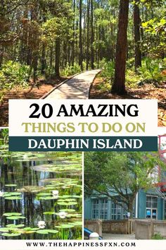 20 Amazing Things to do in Dauphin Island Best Beaches In Alabama, Alabama Beach Vacation, Dauphin Island Alabama Things To Do, Fort Morgan Alabama Things To Do, Dolphin Island Alabama, Things To Do In Alabama, Fort Morgan Alabama, Dauphin Island Alabama