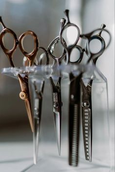 there are many pairs of scissors in the holder