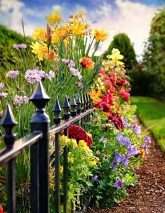 n iron fence bordered by a vibrant mix of flowers, including yellow lilies, red roses, and purple petunias, in a lush cottage garden. Vibrant Flower