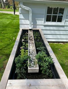 an outdoor garden with plants and rocks in the ground next to a white house on grass