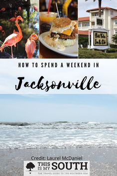 the words how to spend a weekend in jacksonville with pictures of flamingos and hotels