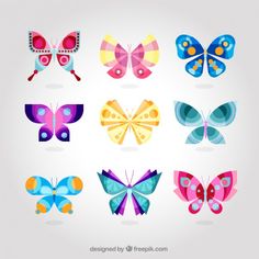 colorful butterflies with different shapes and sizes