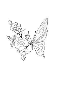 a black and white drawing of a butterfly with roses