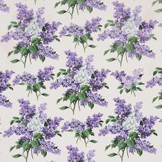 purple flowers on white background with green leaves