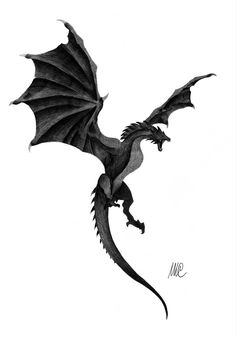 a black and white drawing of a dragon with wings spread out, flying in the air