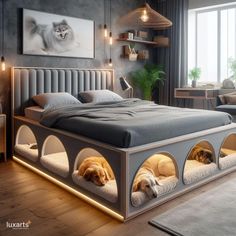 a bed with two dogs sleeping in it and some lights hanging from the headboard