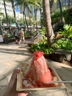 a person holding a plate with some ice cream and watermelon on it in front of palm trees