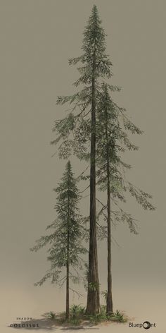 an image of some trees in the fog