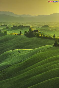 the rolling hills are covered in green grass